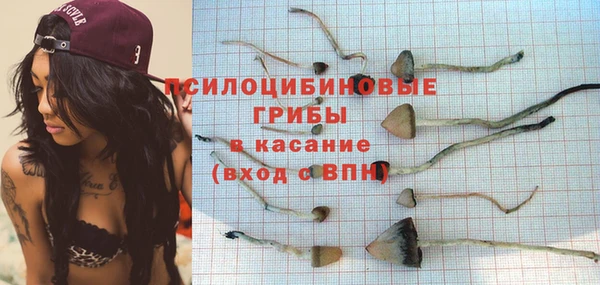 бутират Верея