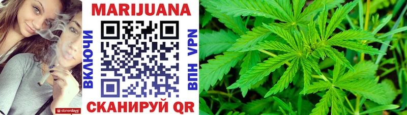 Купить  Новосиль  МАРИХУАНА OG Kush 